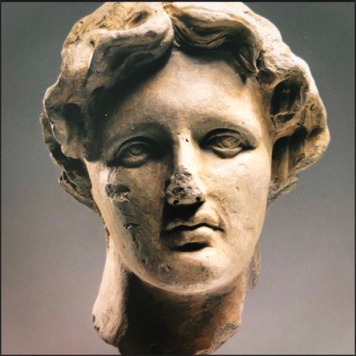 Head of a man Campania, 3rd century BC. The head of a young man with wavy hair falling ove