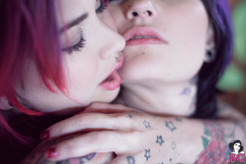 Sex  Fernanda and Krito Suicide  pictures