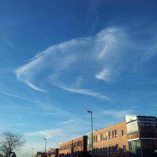 I Fell In Love With This #cloud Once I Saw It... 10.12.15 #latergram #Technologiepark #Dortmund (hier: