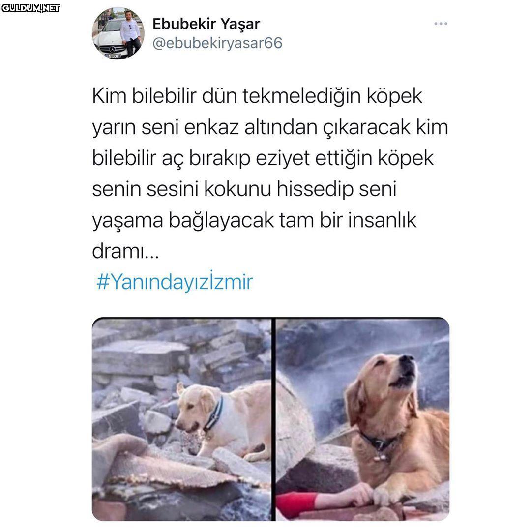 Ebubekir Yaşar...