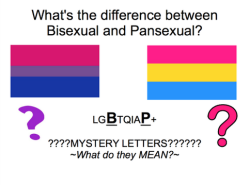 lgbt-bi:  The “B” and “P” in the