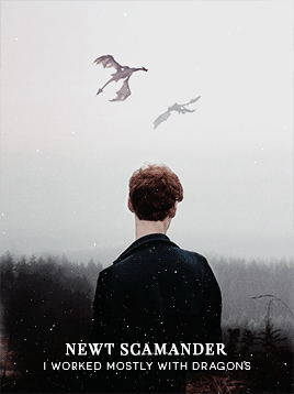 magizoology: Newt: You fought in the war? Jacob: Of course I fought in the war. Everyone fought in t