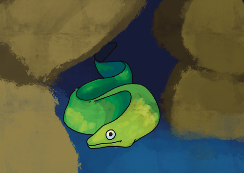 Green Eel I Did In Class 