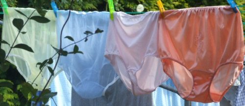 tonyacd: I love seeing panties on a clothesline.  Lingerie magnifique