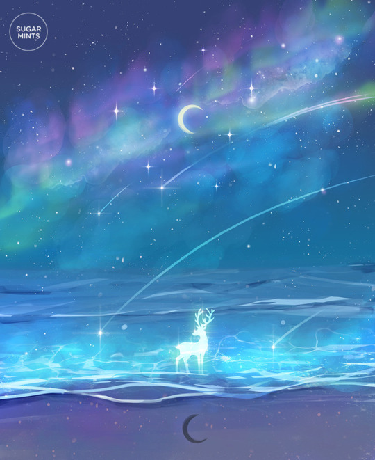 seashore