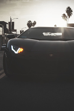 envyavenue:  Californian Sunset