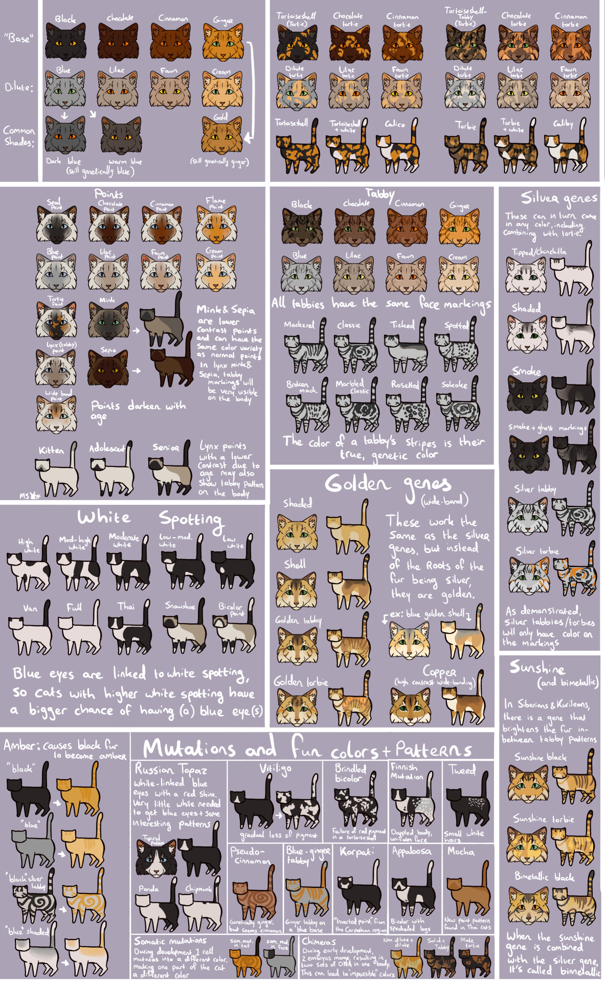 Cat color chart! OPEN IN A NEW TAB TO ZOOM IN This... - Slugs