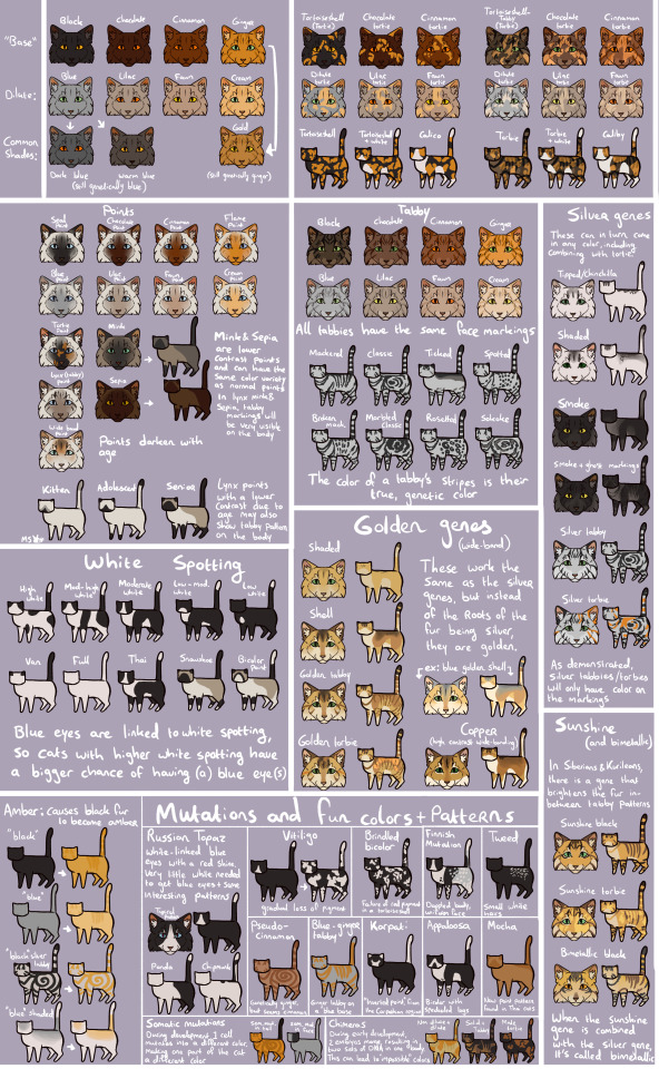 Colors Live - Warrior cats clan symbols by Pikanechi