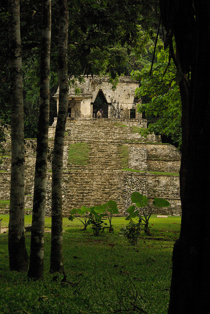 visitheworld:  Temple of the Skull, Palenque / Mexico (by richard j guy).