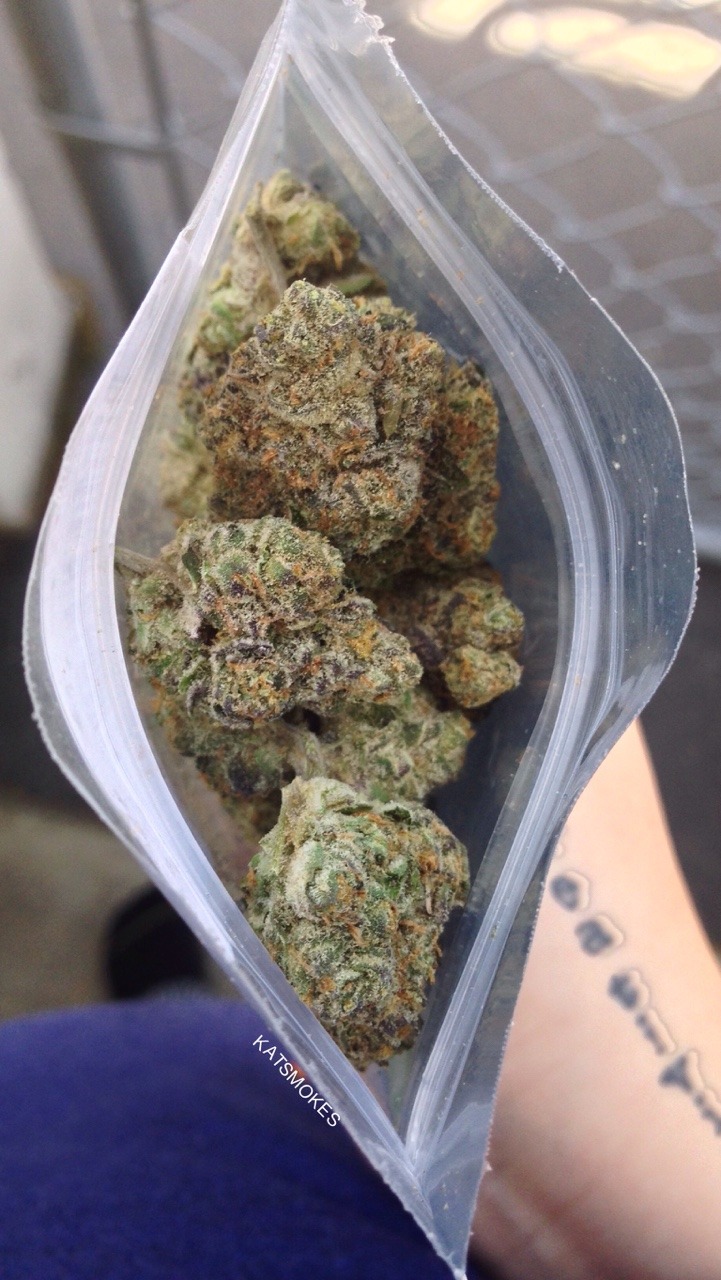 kat-smokes:  Girl Scout Cookies lookin dense and sexy AF 💦👅