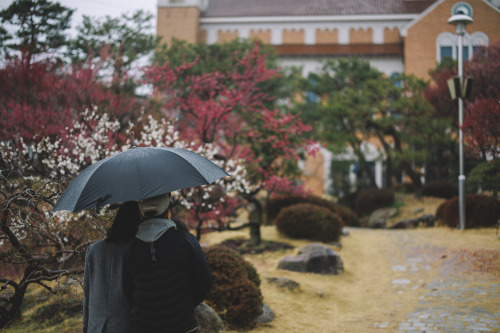 2022-03-13Suncheon Gospel ChurchCanon EOS R3 + RF50mm f1.2LInstagram  |  hwantastic79vivid