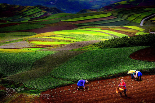 美丽乡愁 by vcg-sdxc58