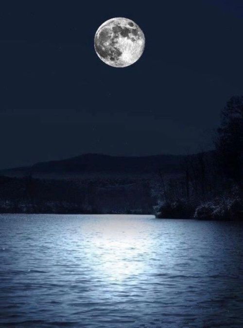 tselmc:The moon is beautiful