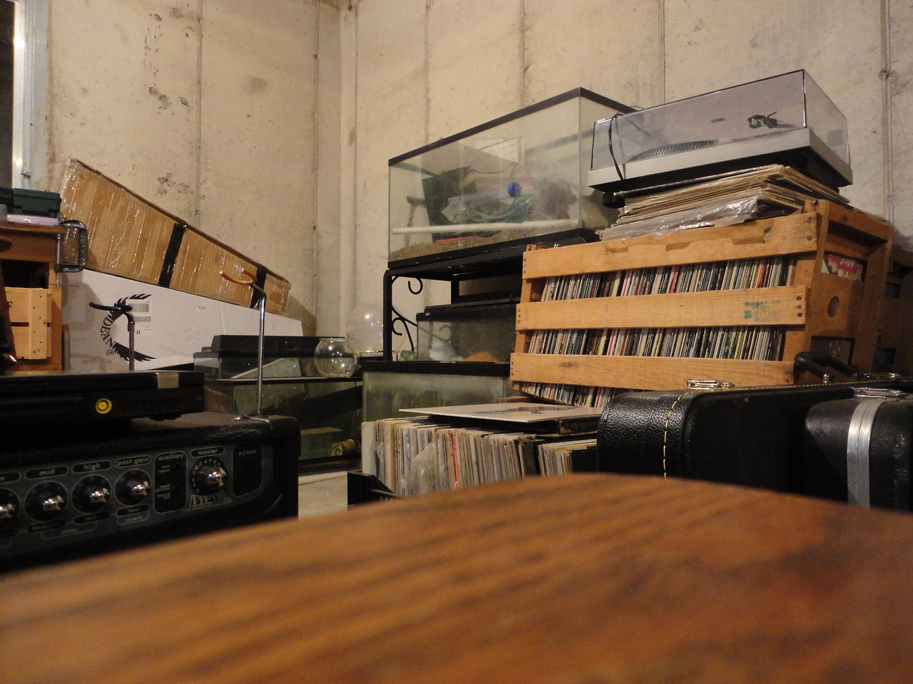 dontfuckwithsnuffy:  Vinyl &amp; Fishtanks 