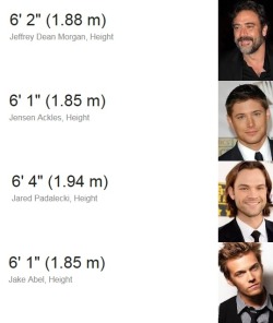darklydreamingdean:  Appreciation of Winchester genes Or: 6 foot tall men whose names start with J