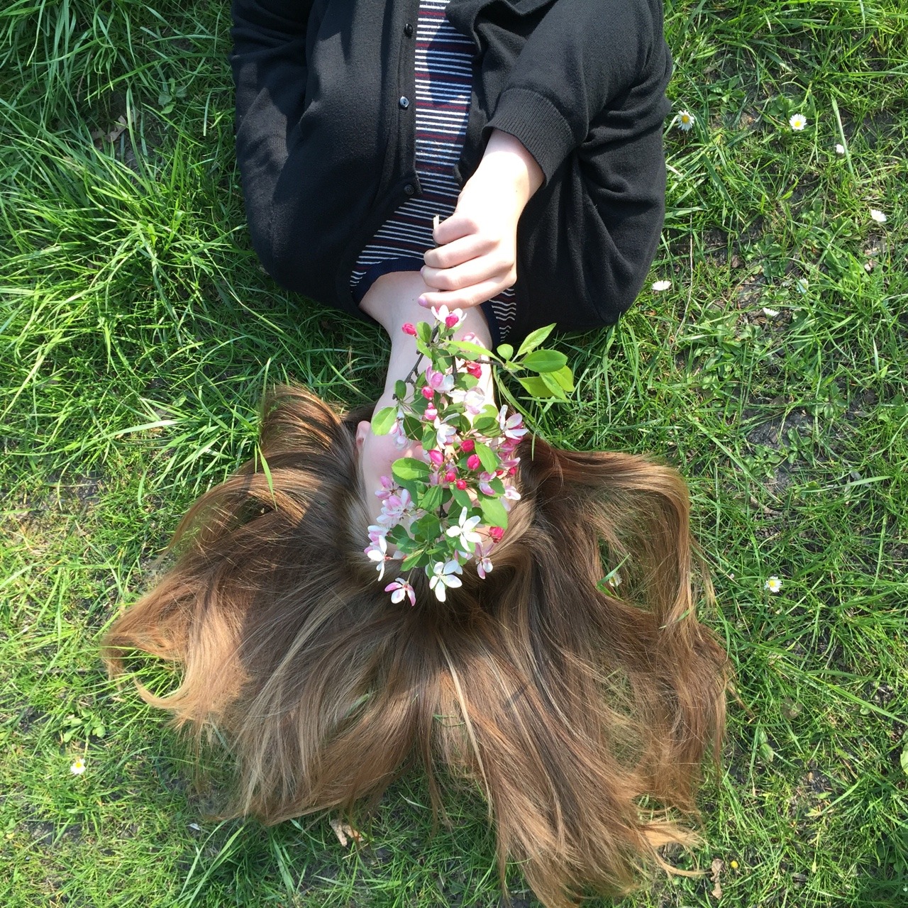 daisygals