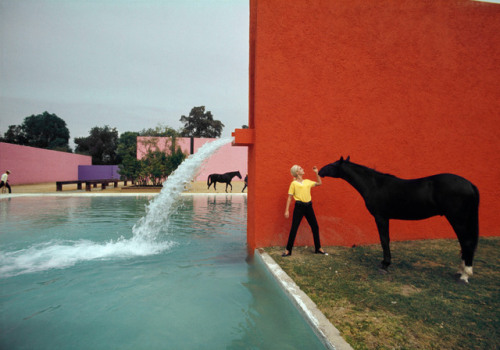 johnroeluna - Rene Burri, Cuadra San Cristóbal,Mexico City,...