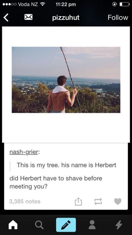 surprisebitch: the-babe: cumdoodle: Nash Grier compilation of comebacks “he probably shaves he