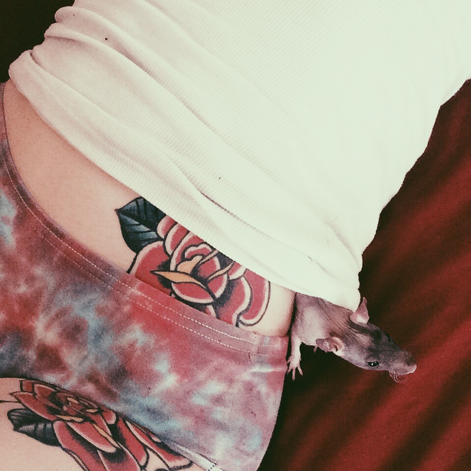 tinylilcactus:  Monday morning cuddles 