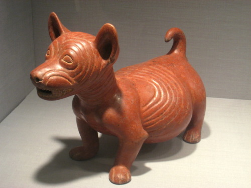 Pre-Columbian ceramic figurine of a dog, found in the Mexican state of Colima.  Artist unknown; ca. 