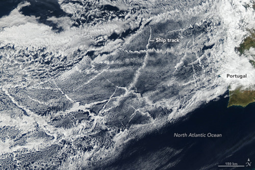 A patchwork of bright, criss-crossing cloud trails was created by ships churning through the Atlanti
