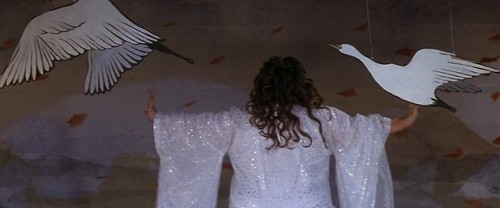 cinemastuff:Donnie Darko (2001, dir. Richard Kelly)