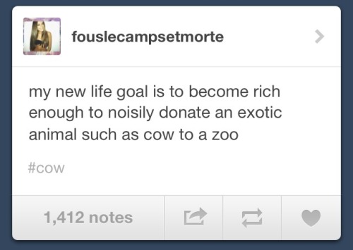 riderunlive: today on tumblr: what is cow