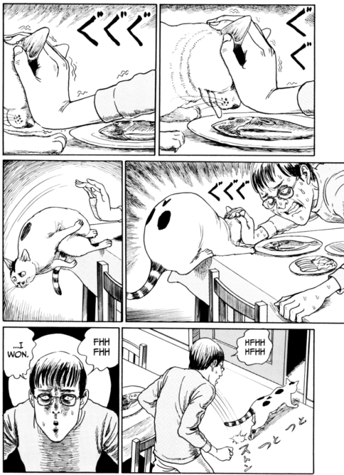 dovewithscales:caterpie:  Ito Junji’s Cat Diary (2009)   I love that one of the most terrifying horror writers also makes comics about his cats. 