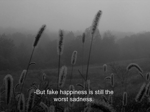 http://christinaowen5.tumblr.com/post/114308161166