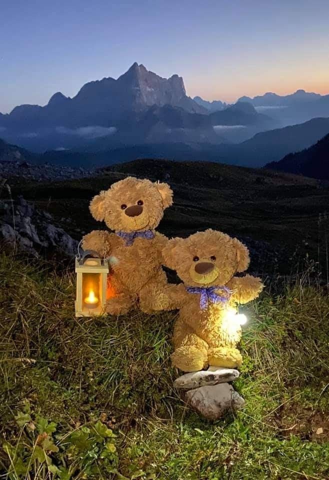 My teddy bear - Page 32 486fcbacb4c4ea8593da3bf8d9ffc7a1e554d791