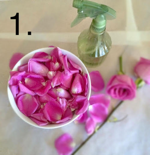 happyvibes-healthylives: Homemade Rose Water not only does rose water smell amazing, it is also gre