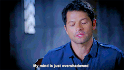 mishasminions: WHEN PEOPLE ASK MY WHY I’M