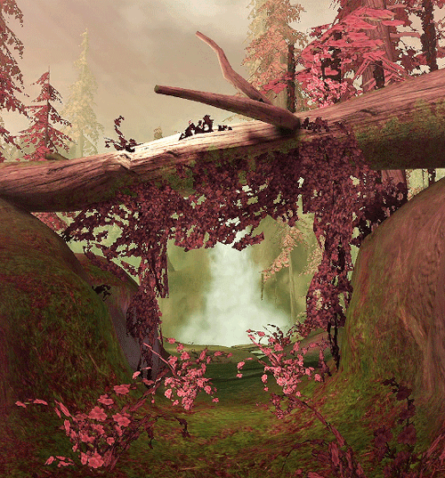 Dragon Age: Origins