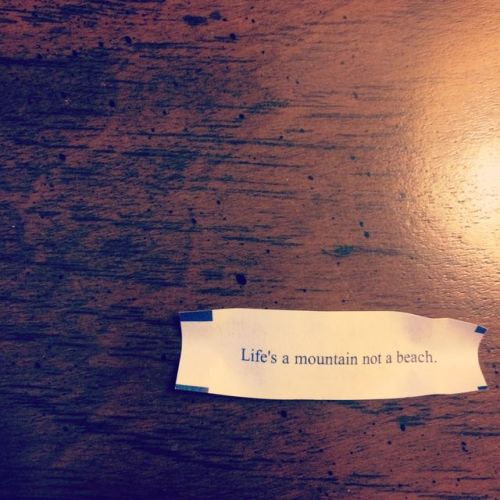 iron-and-wind:  “Life’s a mountain; not a beach.” 