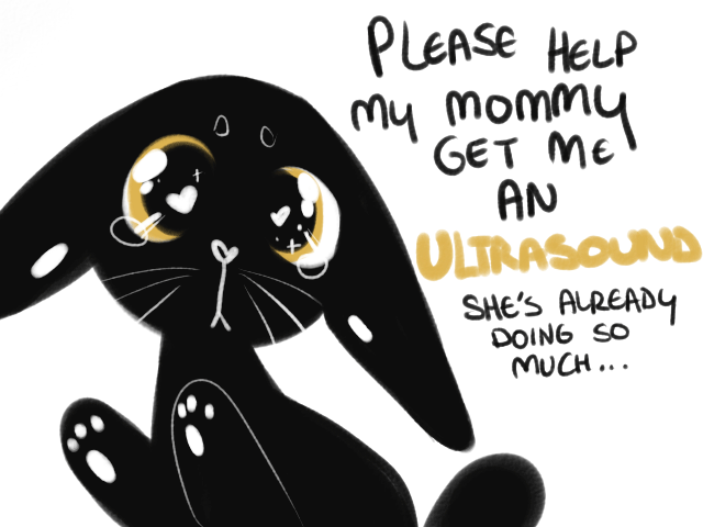 astronym:  PLEASE HELP BART GET HIS ULTRASOUND AND THE MEDICATION HE NEEDS BY DONATING