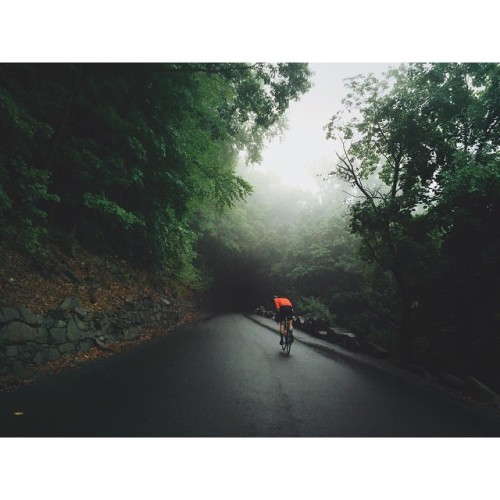 thebicycletree: Deep into that darkness peering… by donalrey ift.tt/1IZQvH3