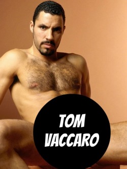 Tom Vaccaro At Titanmen - Click This Text To See The Nsfw Original.  More Men Here: