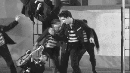 mishasminions:  coffeeandcockatiels:  thedaintysquid:  semioticharuspook:  I fuCKING LOVE THIS ELVIS GIF fucking floor guy killing it on the sax the fuckers on the ladder jimmy-bob in the back dancing like a prospector who found gold the motherfucker