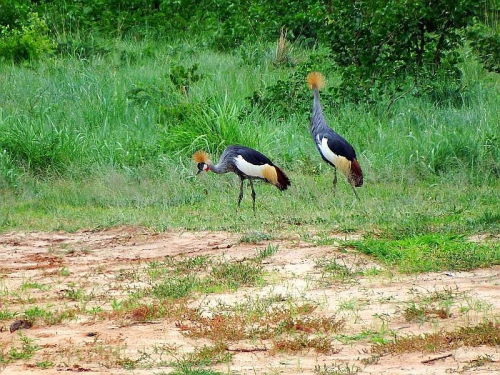 Botswana Ist Ein Weites Binnenland Mit Einem Umfang Von Circa 582 000 Quadratkilometern. Zwei Drittel