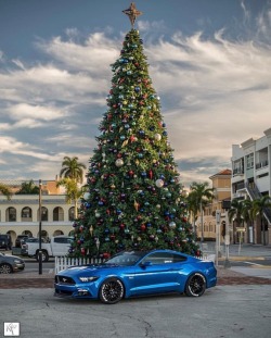 musclefords:  #ford#Mustang#SVT tag–>