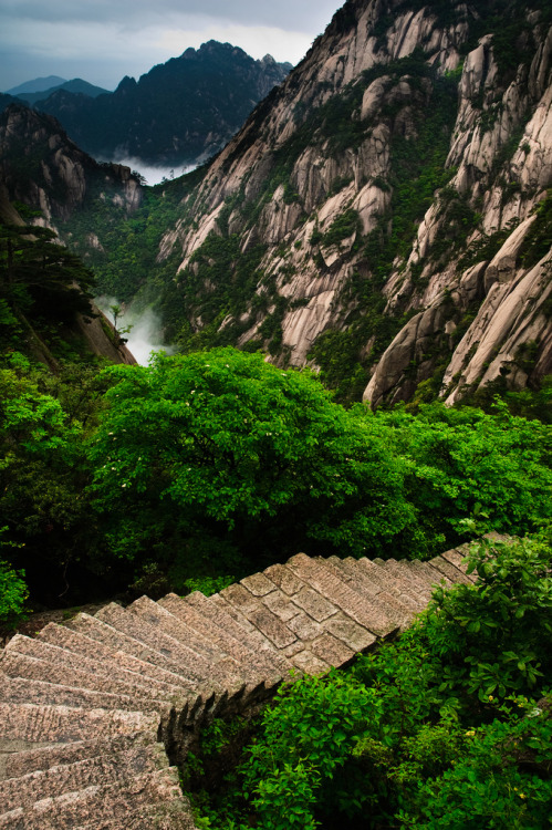 4nimalparty:  (by David.S.L) 