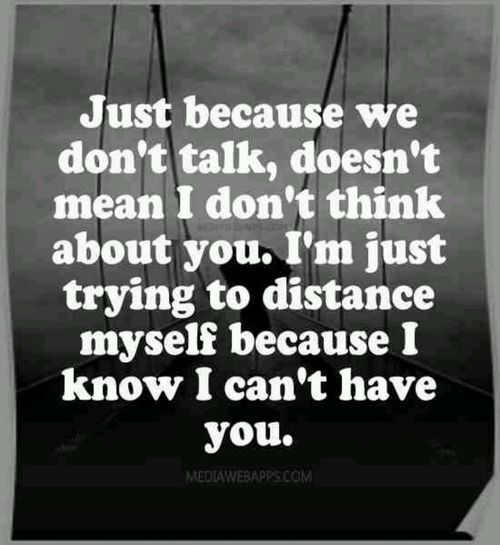 evenbrokenwings-will-fly:  Why can’t you understand? :\ 