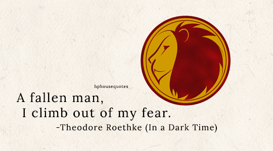 theodore roethke quote | Tumblr