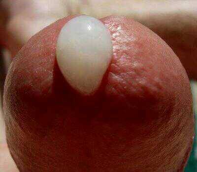 levicantthinkstr8:  LeviCantThinkStr8: Love that yummy cream filing…
