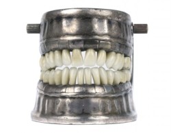 vintagemedical:  Antique dental model by Vecabé. The full set of teeth are made from enamel and would have been painstakingly crafted individually.Each one is secured to the mandible with brass pin and can be removed. They fit together perfectly to form