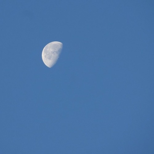 雪は降りませんでしたがとても寒い朝です。 そのぶん月がきれい( ´ ▽ ` ) #いまそら #おはよう #月 #下弦の月 #青空 #冬空 #朝 #sky #skyscape #moon #mornin
