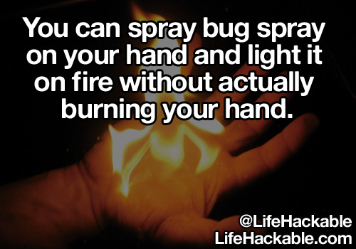 lifehackable:  ifyoulaugh:  The last one…JUST LIGHT YOUSELF ON FIRE. Someone should