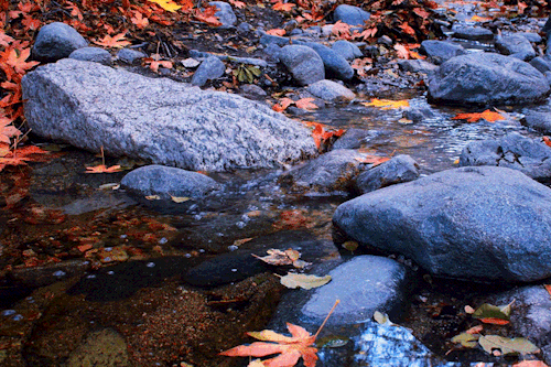 leahberman:  autumn blues angeles national forest, california instagram 