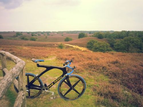 mooiefietsennicebikes: My van tuyl near the posbank at national park the Veluwezoom in the Netherlan
