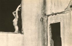 adanvc:  Nude on Window. 1950s. by Yasuhiro Ishimoto 
